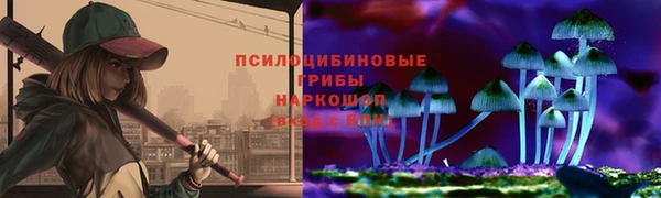 хмурый Богородск