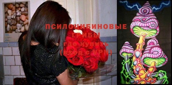 хмурый Богородск