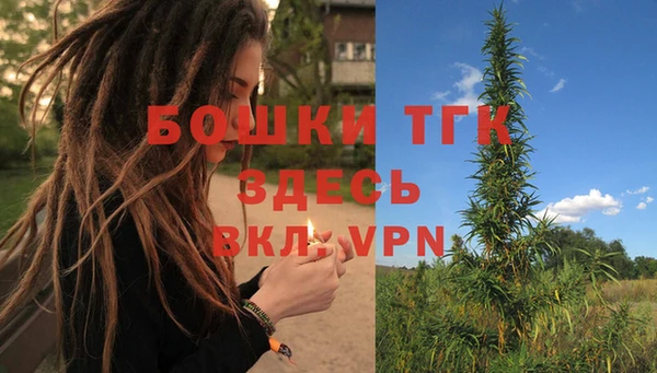 шишки Богданович