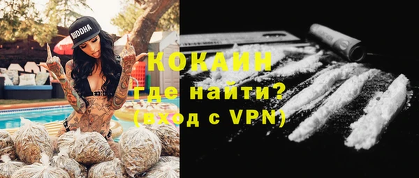 шишки Богданович