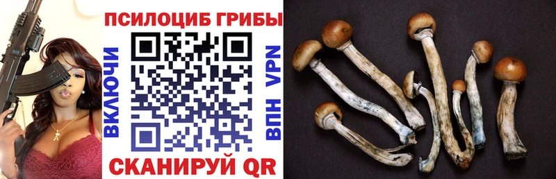 Галлюциногенные грибы прущие грибы Костомукша